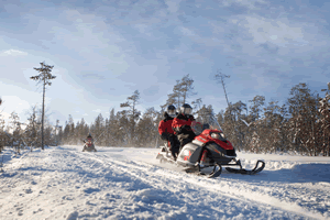 New-Snowmobiles